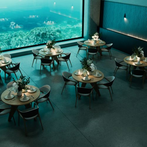 Prijswijziging Enscape & V-Ray